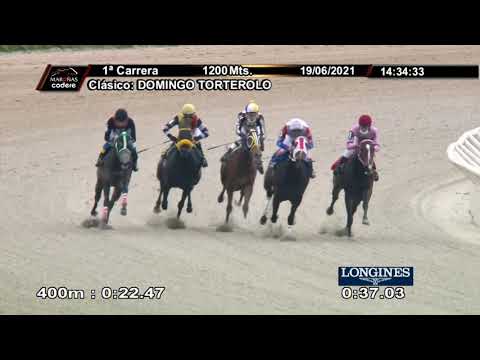 210619 c01 D Torterolo