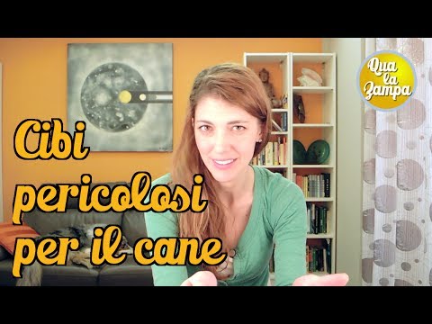 Risonanza magnetica delle articolazioni a Dnepropetrovsk Osteocondrosi toracica discinesia biliare