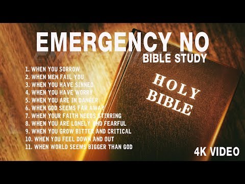 THE BIBLE