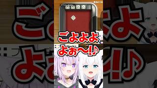 「初手ヨットだよぉ!?」この後のゾロ目配信が不安になるフブちゃんとおかゆんwww【ホロライブ】