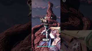 The Real Destiny 2 End Game?