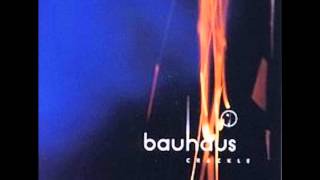 Bauhaus - Crowds
