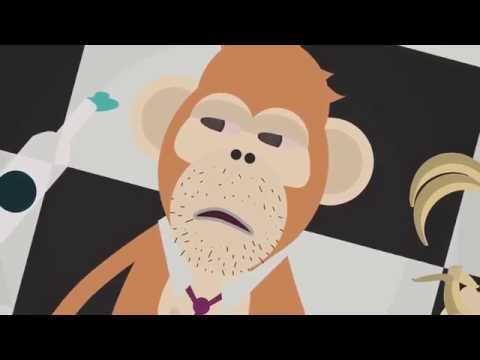 Junior Sanchez Vs. The Bad Suns - Salt