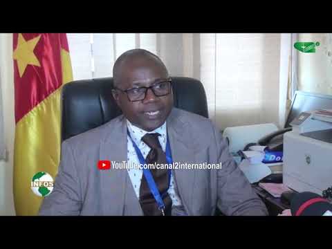 YAOUNDE:  UN GANG D'ARNAQUEURS AUX ARRETS (Jt, 22/01/2021)