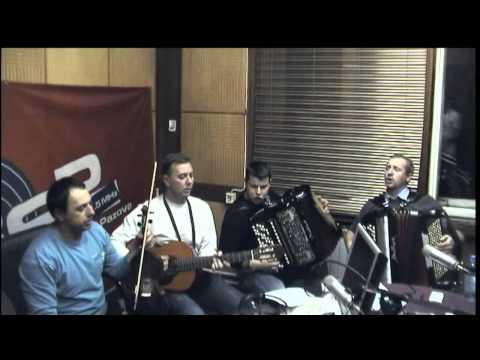 P.L.O_Kacuri - Kuce male