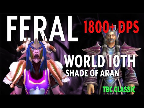 1800+ DPS Feral Druid - World #10th Shade of Aran | Karazhan | WoW TBC Classic