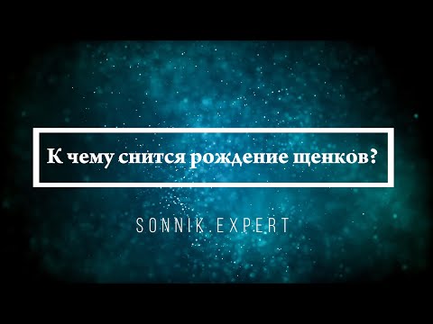 К чему снится рождение щенков — Онлайн Сонник Эксперт