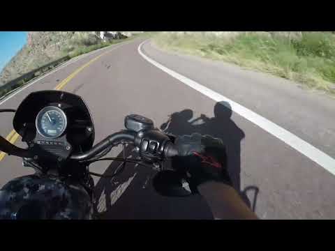 Hooligan Sportster 1250 Canyon Run