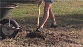 Grass & Lawn Maintenance : How to Plant Grass Seed in Sand