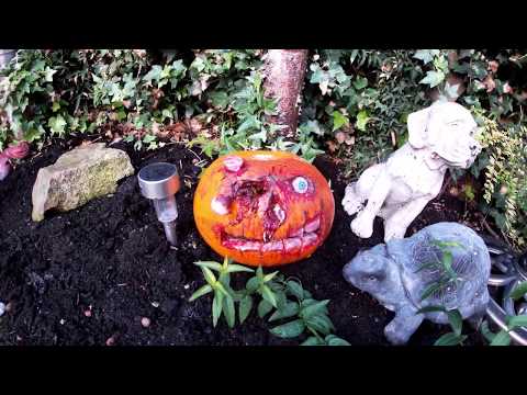 Zombie Halloween Pumpkin