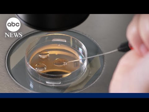 How custody agreement was reached in IVF mix-up