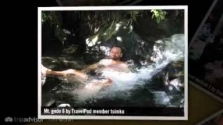 preview picture of video 'Puncak Pass & Bogor Tsimko's photos around Cisarua, Indonesia (hotel di puncak cisarua)'