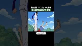 원피스) 현상금 고작 1억시절 루피가 쿠잔에게 살아남은 방법