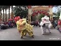 [HD] Lion Dance - Lunar New Year Celebration.
