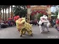 [HD] Lion Dance - LUNAR NEW YEAR Celebration.