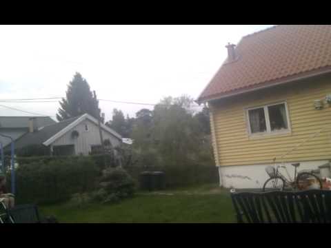 Pizza Box Flyer (pbf) in garden