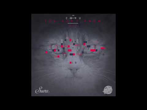Coyu - Unite feat. Gabriella Vergilov (Original Mix)