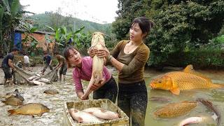 Greatest Fishing Video | Harvesting Lots Of Big Fish in the Pond Goes To Countryside Market Sell