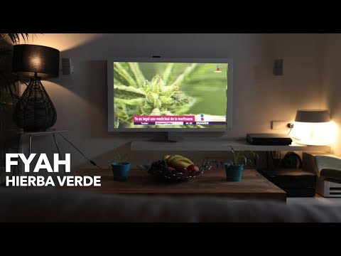 Video Hierba Verde de Fyahbwoy