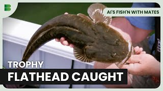 Download lagu Pertarungan Tangkapan Ikan Flathead Terbesar! - AI's Fish'n With Mates mp3