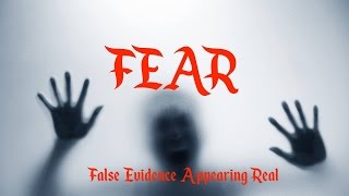 Entrepreneur Advice On FEAR: False Evidence Appearing Real