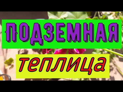 Как быстро набить большое количество горшков. Подземная теплица. Обрезка зональных пеларгоний.