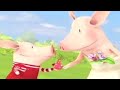 Olivia The Pig Olivia Puppy Love Olivia Full Episodes