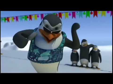 Schiffe & co penguin's dance Cho cacau (Brasil)