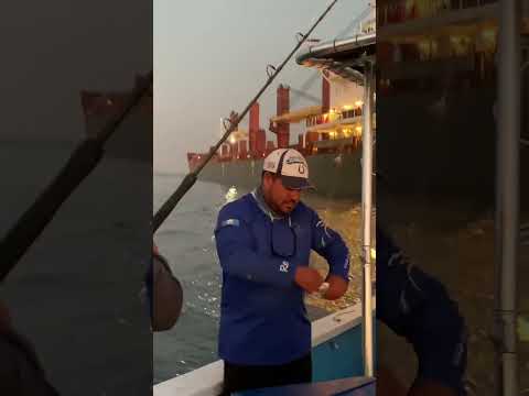 Puerto Iztapa en la costa sur de escuintla Guatemala 🌴✨❤️ como agarramos la carnada