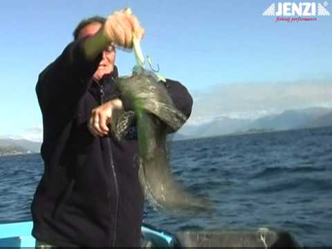 JENZI DVD - Modernes Meeresangeln mit Torsten Ahrens (fishing & Angelsport)