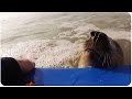 Lo único que quería esta adorable foca era un amigo