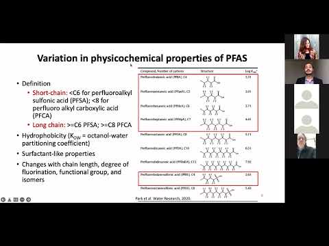 Treatment of Per- and Polyfluoroalkyl Substances: Current Status and Challenges