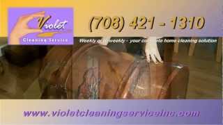 preview picture of video 'Cleaning Service Palatine IL (708) 321-1310 Home Cleaning Professional'