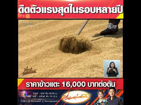 คลิกเพื่อดูคลิปวิดีโอ