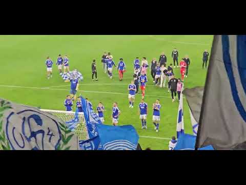 SCHALKE 04 feiert hart erkämpftes 2:2 gegen den HSV