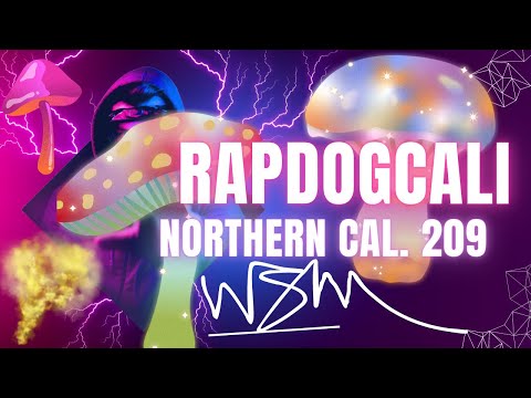 RapdogCali209 - Men of Honor Freestyle(DRF Beat)