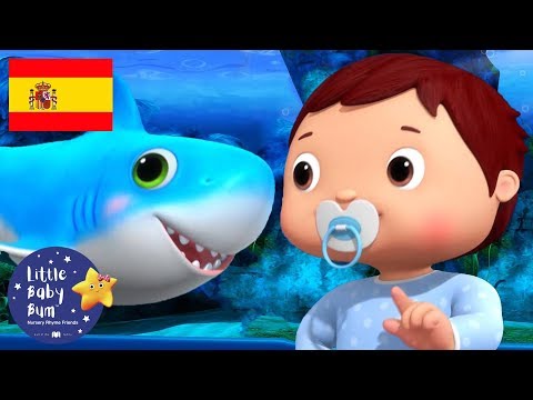 Canciones Infantiles | El Baile de Bebé Tiburón | Dibujos Animados | Little Baby Bum en Español