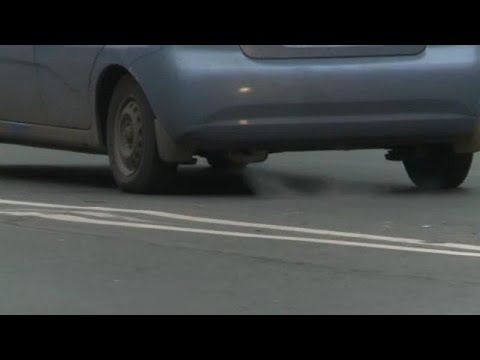 bika szalagféreg kezelés Gyors méregtelenítés étrendkiegészítő