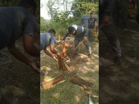 Chini para ni bol phini krong bo bong khe