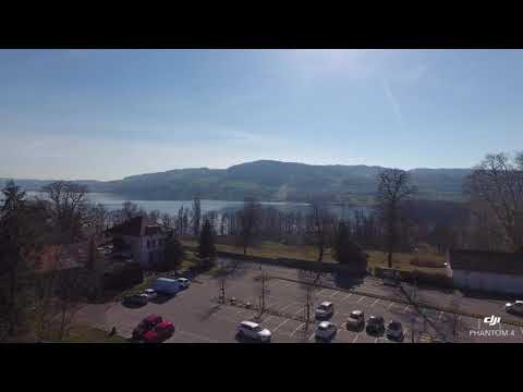 Zehnder Immobilien AG - Rundflug Rebenweg Seengen