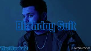 The Weeknd - Birthday Suit (Lyrics)