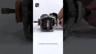 Why Is My Dryer Making a Whining Noise