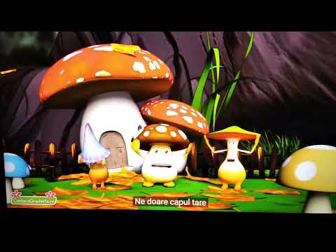Noi suntem ciupercute - joc muzical (prescurtat) (Cântece Grădiniță.ro)