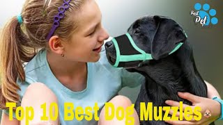 Top 10 Best Dog Muzzles Tried, Tested, and Approved