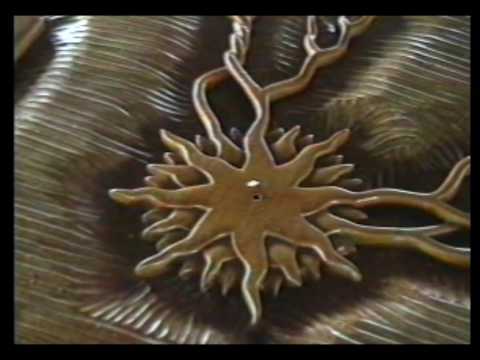 Wisdom Of The Serpent