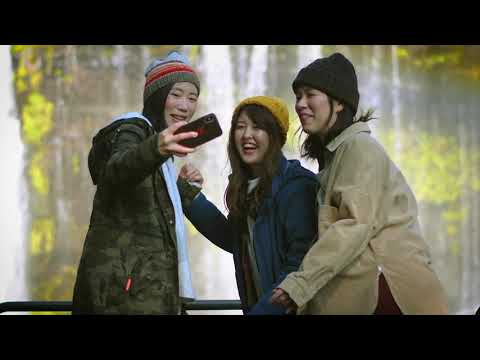 Girls Adventure in Fuji-Hakone-Izu National Park, Japan - See you at Mount Fuji!