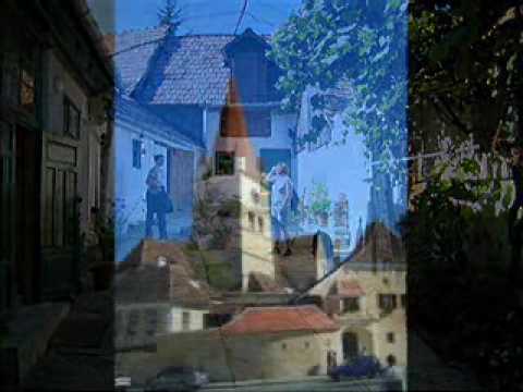 Sabin Pautza flute concerto mvt  2 plays Cristina Bojin