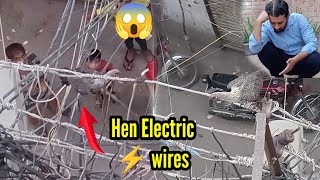 Murgi Bijli ⚡️ Ki Taaro Mein Phansa Gi - Hen 🐔 Hang in Electricity Wires - 3mbvlogs