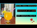 Orange Vodka Cocktail at Home | Orange Juice Cocktail & Vodka Recipes