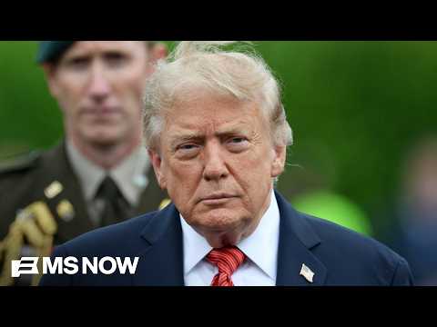  Is Trump hitting the ‘panic button’ with his $5k promise to Americans?